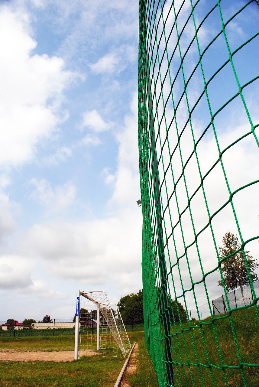 这种策略转 这种策略转