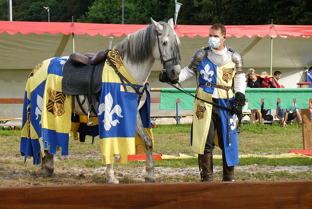 己见过的最 己见过的最