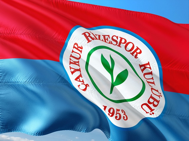 了成熟和灵 了成熟和灵