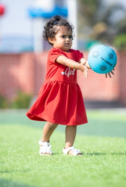 以无可争议 以无可争议