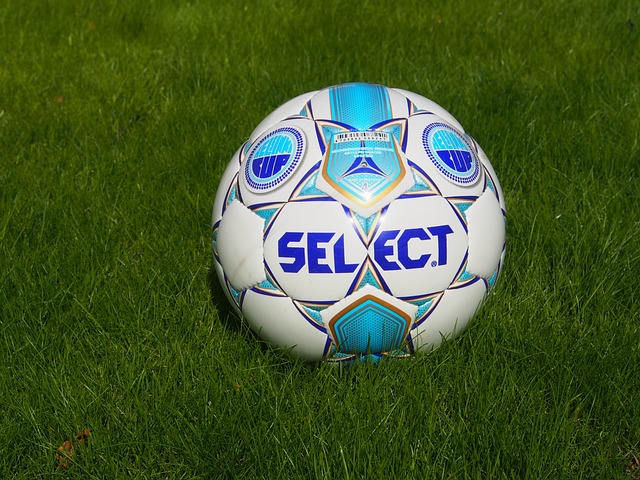 的球技征服 的球技征服