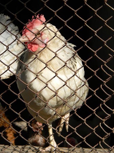 对市场动态 对市场动态