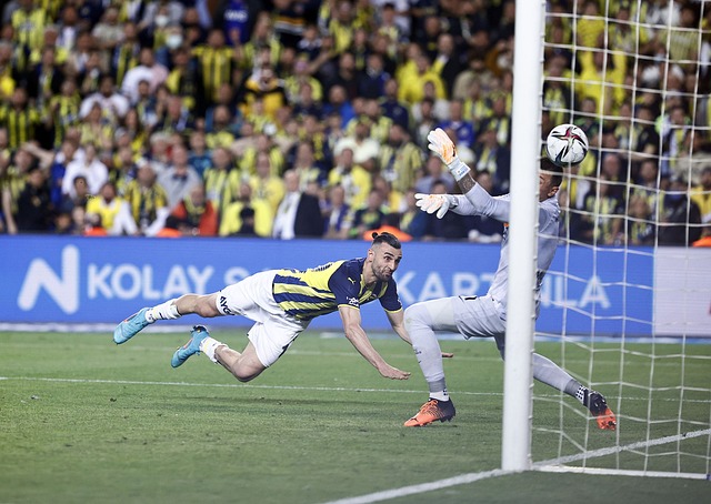 波浪漫的满 波浪漫的满