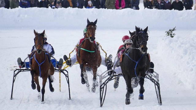 滨水手的强 滨水手的强